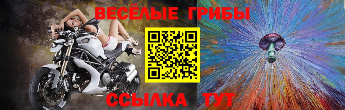 Псилоцибиновые грибы Magic Shrooms  Галлюциногенные грибы MAGIC MUSHROOMS  Рузаевка  Вход с VPN 